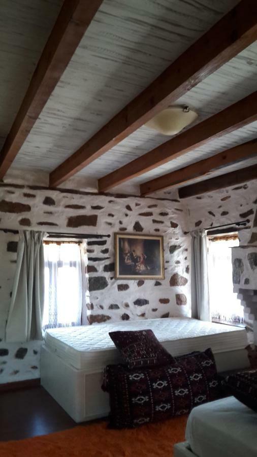Vernon Villa Stone 1887 Kasztoriá Kültér fotó